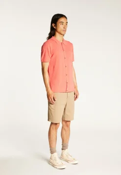 Montagut Chemises-Chemise en coton brossé - Dominique 25-Rose moyen