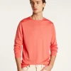 Montagut Pulls-Pull col rond en laine mérinos - Erin 24-Rose clair